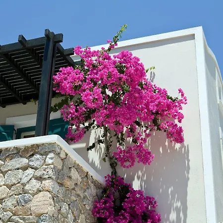 Rose Bay Otel