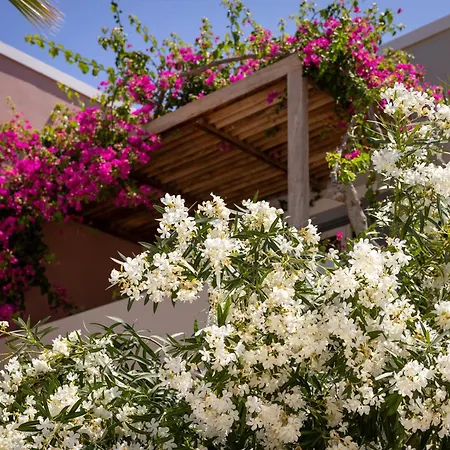 Rose Bay Hotel 4*