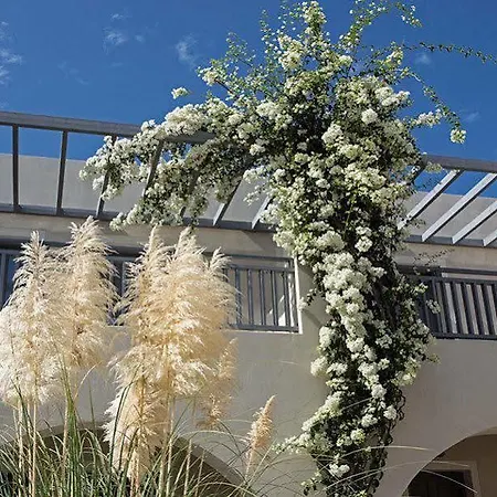 Rose Bay Hotel Kamári