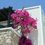 روز باي فندق